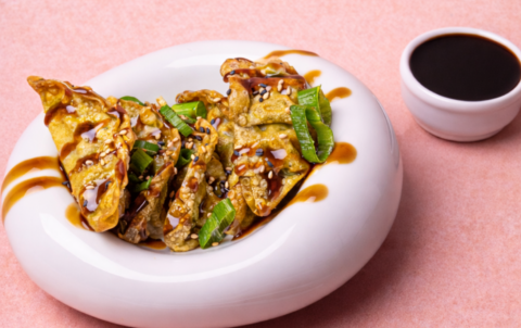 Gyozas Poulet Légumes